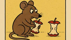 Dowcip: Gryzoń wchodzi do sadu i...